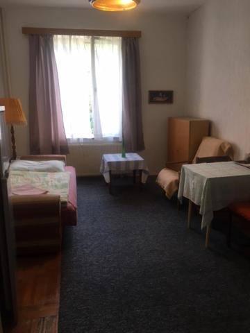 Apartment Trojska — Photos 3